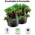 thumbnail image 3 of 5 Gallon Strawberry Growing Bags, Thickened Non-Woven Plant Growing Bags, Indoor and Outdoor Growing Pots, 3 of 5