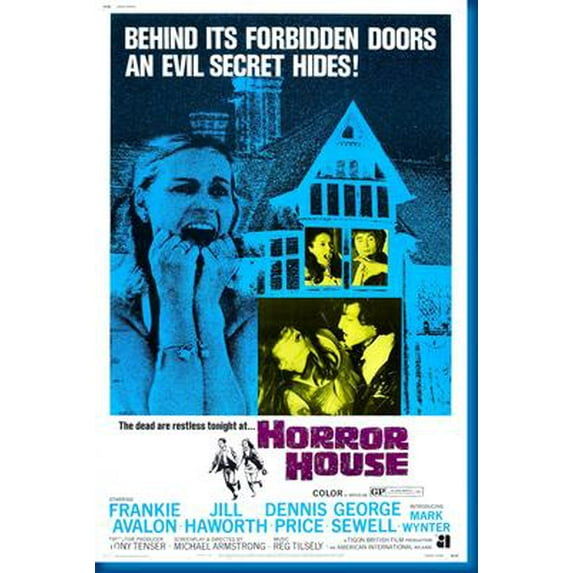 Horror House Movie Poster Art Poster 24x36 Unframed, Age: Adults, Rectangle Poster Time