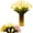 White, variant on Radiant 15-Piece LED Tulip Night Light - Yellow Flower Lamp( Vase is not included.)