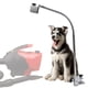 thumbnail image 4 of Soporte flexible para secador de mesa de cuidado de mascotas, soporte universal para secador de mesa de cuidado de mascotas flexible de acero inoxidable Soporte para secador de mesa de cuidado de mascotas de acero inoxidable Aspecto llamativo, 4 of 8