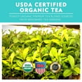 thumbnail image 2 of Organic Yerba Mate Refreshing Mint Tea Pods Compatible with Keurig Brewers by Teavity - 24 Tea Pods, 2 of 7