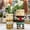 2Pcs Modern Resin Vase Under $5 a1, variant on Fufafayo Mother's Day Gift Resin Vase, Modern Flower Pot for Succulents, Home Decor Centerpiece for Tabletop Shelf Living Room Office