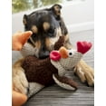 thumbnail image 4 of goDog® Checkers Rooster Fat with Chew Guard Technology™ Plush Dog Toy, Large, Brown, 4 of 9