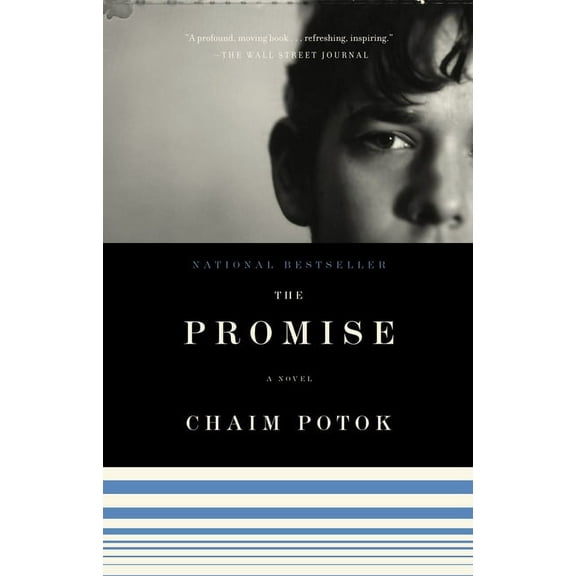 The Promise, (Paperback)