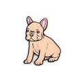 thumbnail image 1 of Frenchie Bogg Bag Charm - Adorable 3" Soft PVC Accessory for Bogg Bags, Simply Southern Totes, and More, 1 of 4