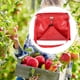 thumbnail image 5 of Bolsa para almacenar la cosecha de verduras, bolsa para recoger frutas, delantal de jardinería con Rojo, 5 of 6
