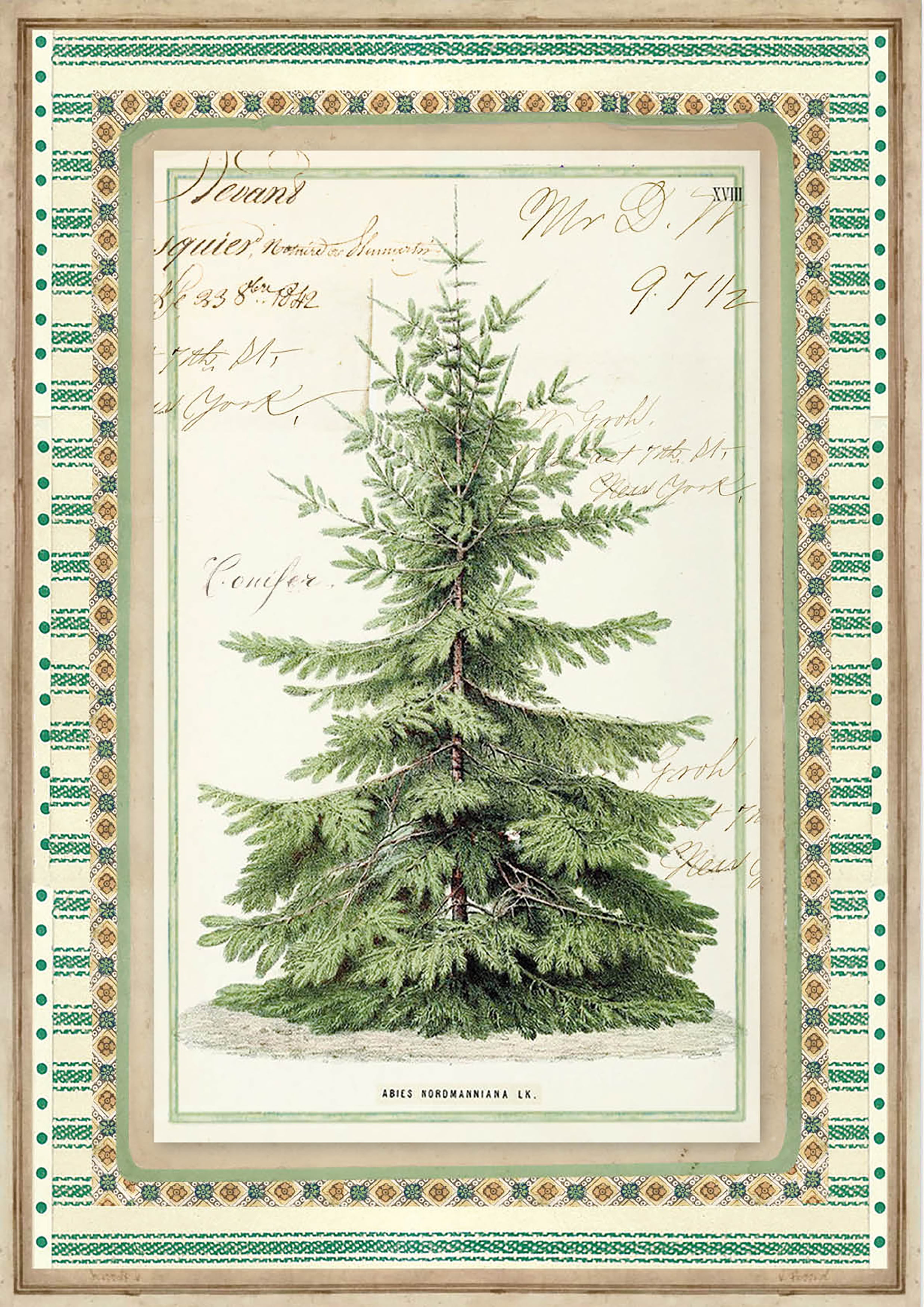 Stamperia Rice Paper Sheet A4Winter Botanic Christmas Tree Walmart Canada