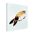 thumbnail image 2 of Annie Warren 'Sushi Style VII' Canvas Art, 2 of 3
