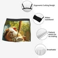thumbnail image 3 of Yiaed Lazy Home Style Guinea Pig Print Men's Soft Cotton Boxer Shorts Breathable Boxers Underwear Moisture-Wicking Underwear Stretch Boxer Briefs for Man-Large, 3 of 5