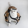 thumbnail image 4 of Wuffmeow Halloween Pet Cosplay Spider Costume For Small Medium Dogs Cat, 4 of 8