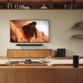 thumbnail image 2 of Sony SA-RS9 BRAVIA Theater Rear 9 Surround Speakers - Pair, 2 of 9
