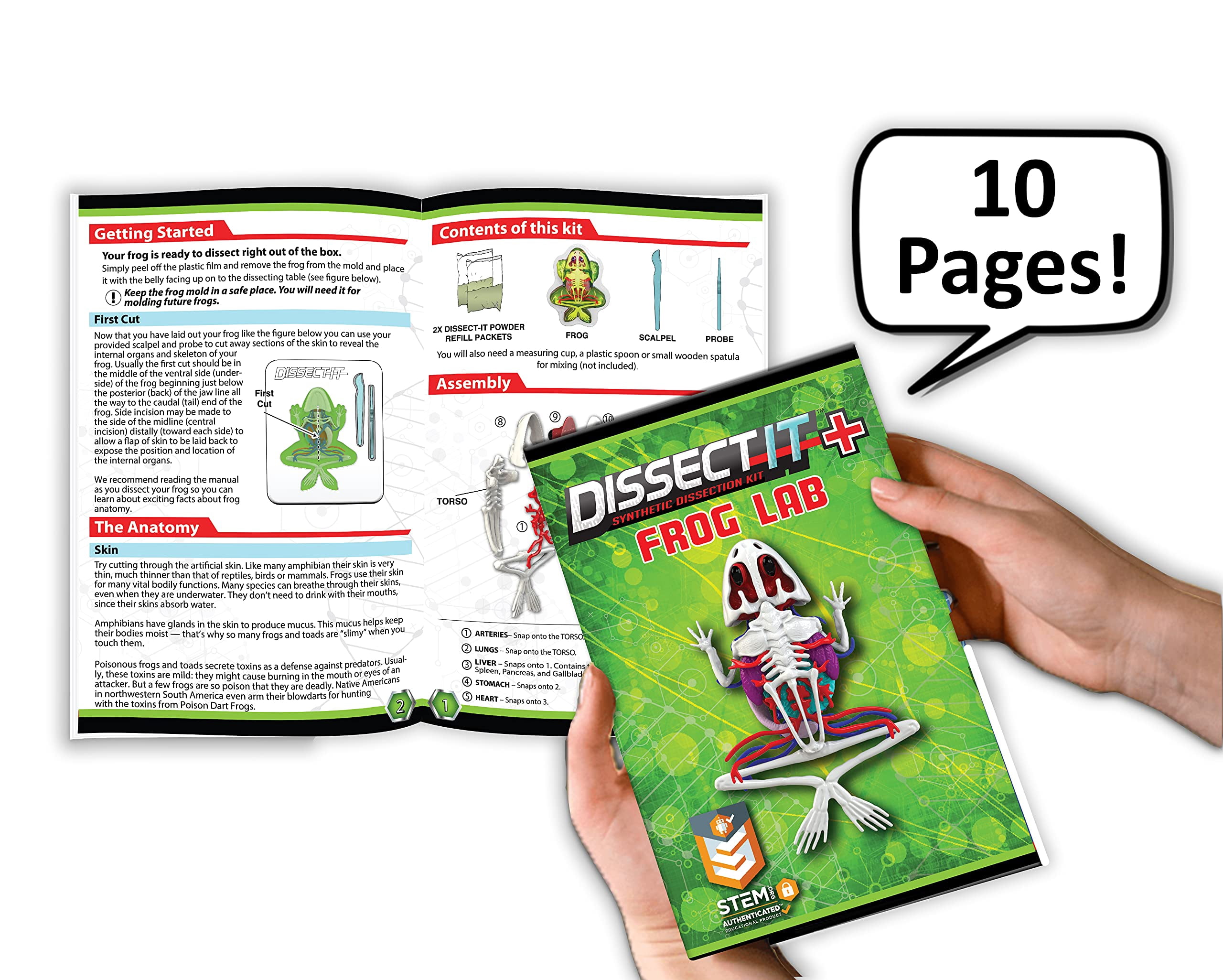 Dissect-It Simulée Dissection de Laboratoire Synthétique Tige Jouet, la Maison des Enfants d'Apprentissage Projet Scientifique, Idéal pour les Jeunes Scientifiques! - Frog Plus