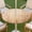 A, variant on Round Outdoor Tablecloth, Zipper Tablecloth with Umbrella Hole, Wood Grain Elastic Tablecloth for Picnic Party Patio(C,44)