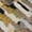 Black, variant on Addison Rugs Chantille Indoor/Outdoor Transitional Stripes Black Machine Washable Rectangle Rug, 10' x 14'