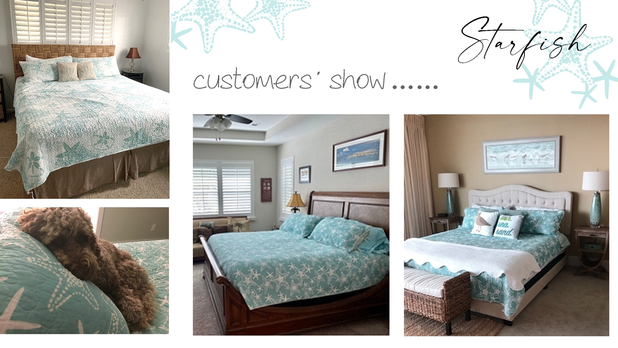 DESIGN STUDIO Starfish Aqua 2-Piece Cotton Quilt Bedding Set - Twin