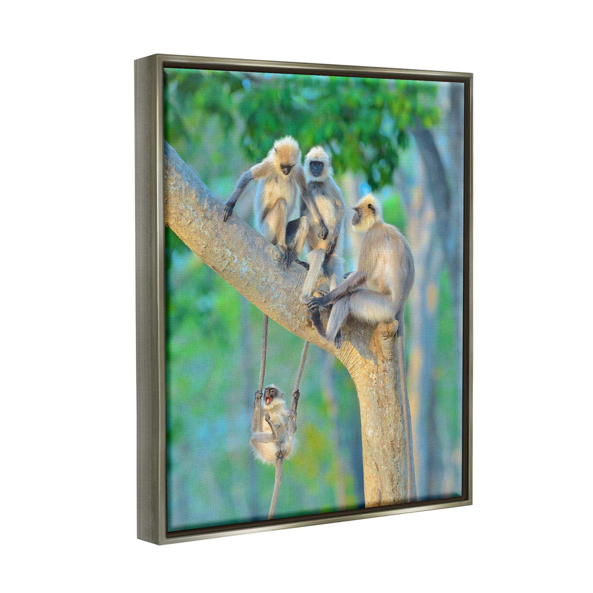 Stupell Industries Fun Playing Monkeys Animals & Insects Photography Gray Floater Framed Canvas Art Print Wall Art, 25 x 31