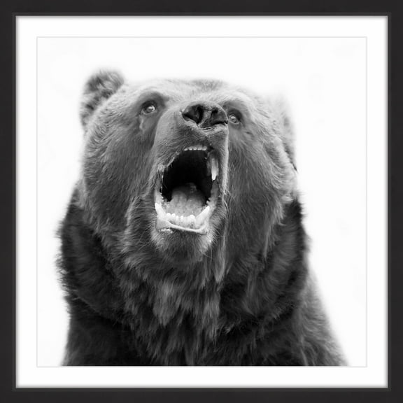 "Hear Me Roar" Framed Painting Print