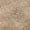 Coral, variant on Addison Rugs Mayfield Premium Machine Washable Transitional Global Taupe Rectangle Rug, 10' x 14'