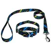 Country Brook Petz® Memphis 90s Martingale Dog Collar and Leash, Large