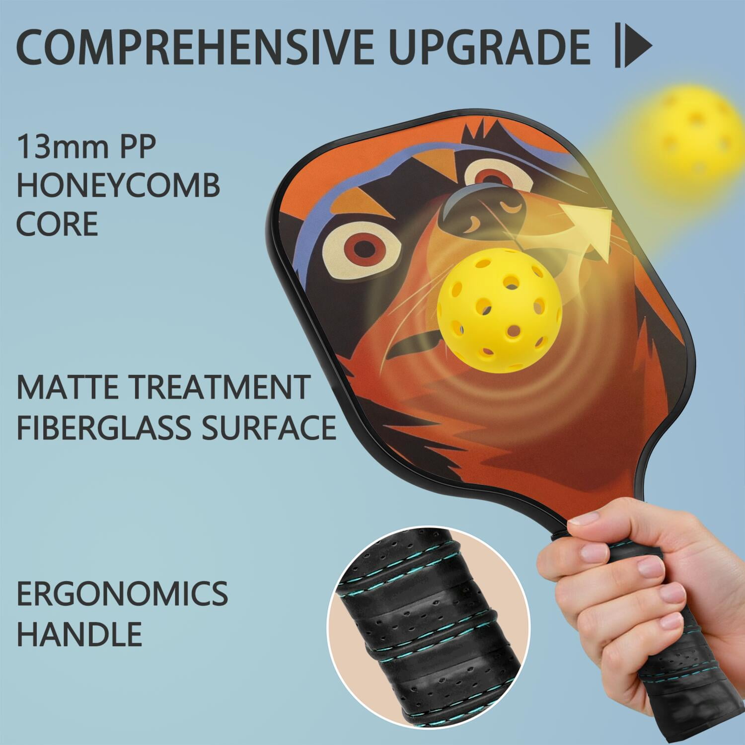 Pickleball Paddles Set Of 2, Fiberglass Surface, Astonished Dog Print, 4 Balls & Bag