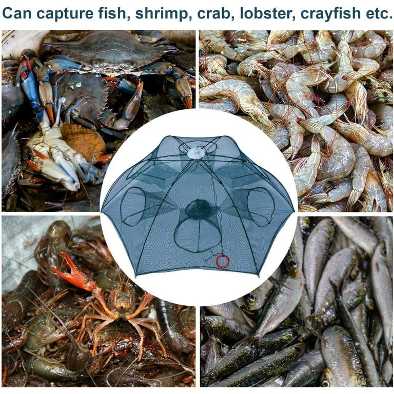 Noa Store Fishing Bait Trap | Fishing Net Trap Foldable Fish Minnow Carb Crayfish Crawdad