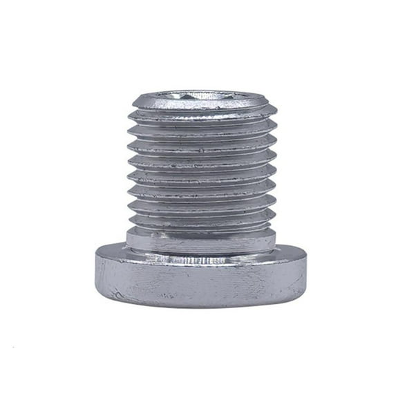 Bicycles Rear Derailleur Screws Replacement 10mm Bike Rear Derailleur Hanger Bolt 13.8mm Length Bike Derailleur Bolts