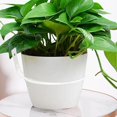 thumbnail image 7 of Metal Wall Mount Hanging Plant Pot Holder Ring, Modern Planter Hook For Balcony Patio Garden, 10.2cm Sturdy Stand For Flower Pot, 7 of 7