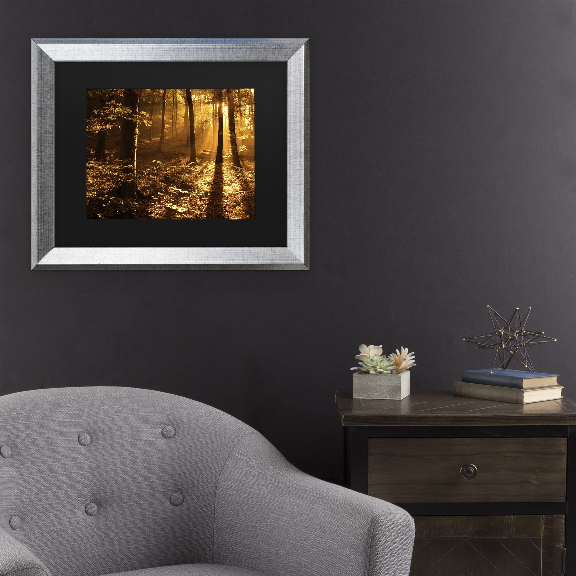 Trademark Fine Art 'Morning Light' Canvas Art by Philippe Sainte-Laudy
