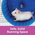 thumbnail image 4 of Kaytee Comfort Wheel Giant for Chinchillas, Rats and Other Small Animals, Plastic Exercise Wheel, 12 Inches, Blue, 4 of 13