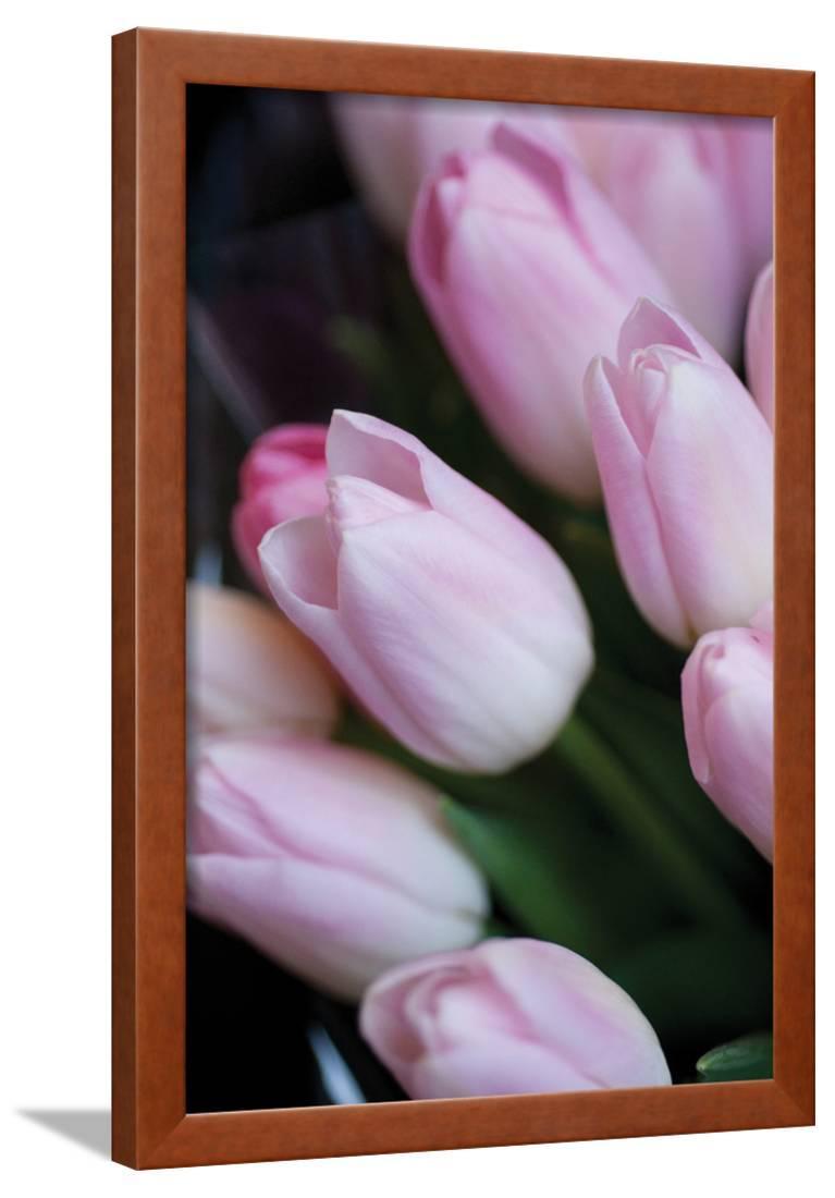  Soft Pink Tulips  1 Framed Print Wall Art By Erin Berzel 