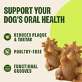 thumbnail image 5 of Wellness WHIMZEES Hedgehog Natural Dog Dental Treat, Chews, Freshens Breath, Large Size, 12.7 oz Bag, 6 Count, 5 of 9