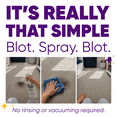 thumbnail image 5 of Folex Instant Carpet Spot Remover, 28 fl oz No Rinse Carpet and Upholstery Cleaner Spray, 5 of 8