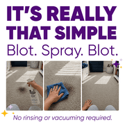 Folex Instant Carpet Spot Remover, 28 fl oz No Rinse Carpet and Upholstery Cleaner Spray