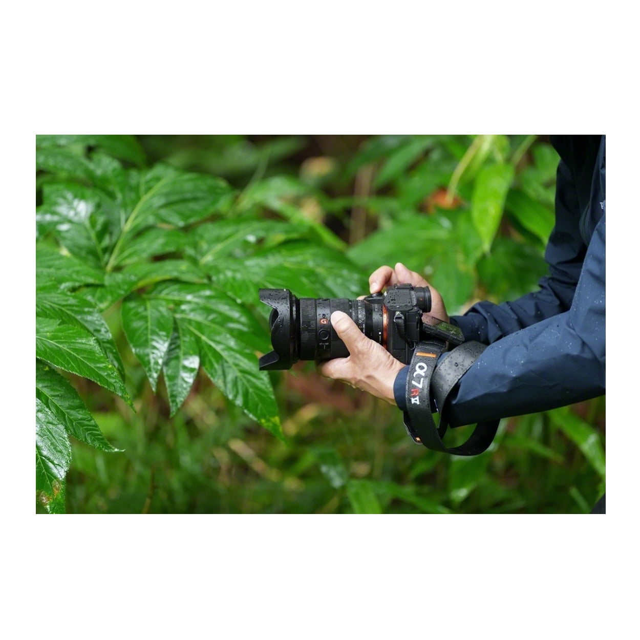 SONY α7R ILCE-7R 61GyE9v0myL._UF350,350_QL80_.jpg
