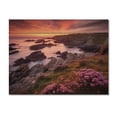 thumbnail image 3 of Designart "Dusk by the Cliff I" Coastal Print on Natural Pine Wood, 3 of 5