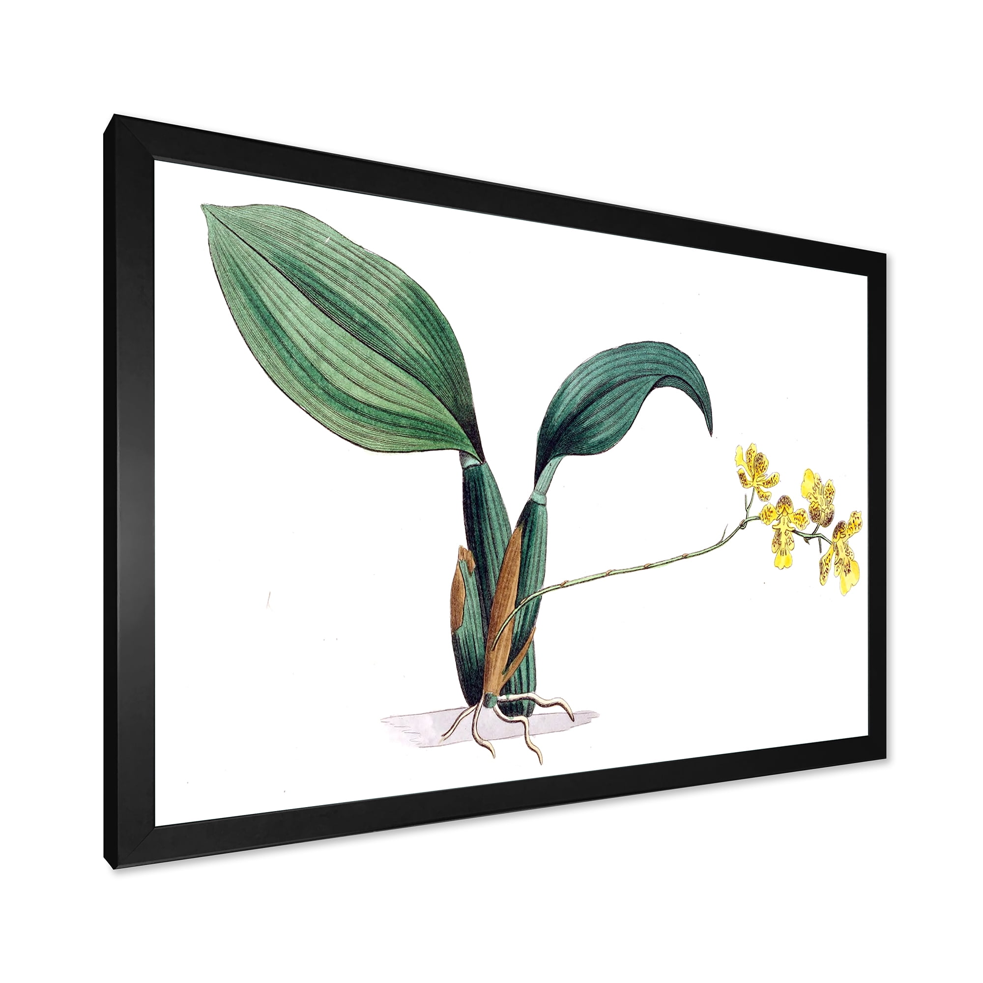 Designart 'Ancient Plant Life VI' Traditional Framed Art Print