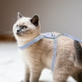 thumbnail image 5 of Unique Bargains Cute Bee Themed Adjustable Cats and Dogs Harness and Leash Set M Blue, 5 of 6
