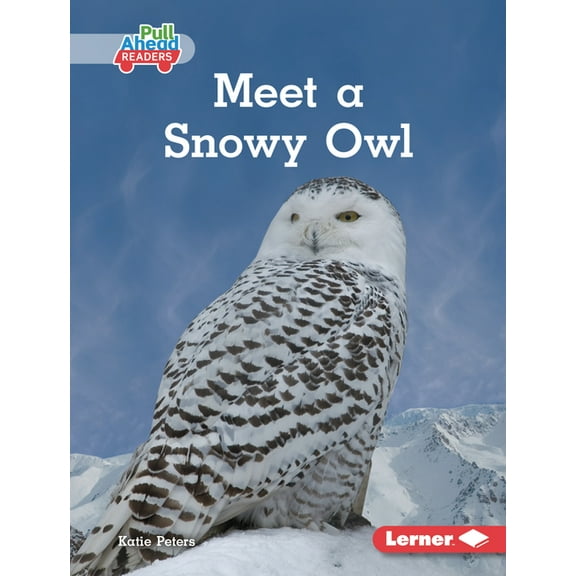 Let's Look at Polar Animals (Pull A Meet a Snowy Owl, (Hardcover)