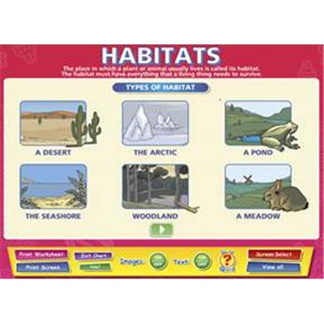 Daydream Education DD-SC-5-52 Habitats Interactive Software , Single User