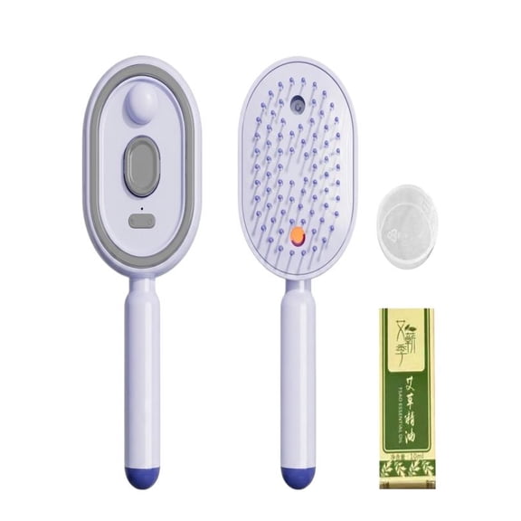 2026 New Electric Steam Hair Brush, Rechargeable Steam Hair Straightener &Detangler, Frizz-Reducing Steam Brush forShort Hair, Nourishing & Anti-Static Hair Tool