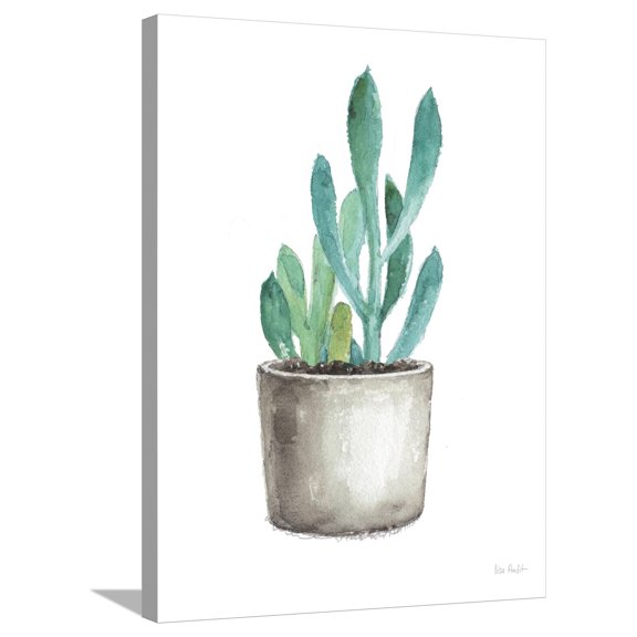Art.com Mixed Greens Succulent V Stretched Canvas Print Wall Art, 24" x 32"