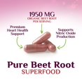 thumbnail image 4 of Beet Root Capsules 1950mg - Organic Beetroot Powder in Vegan Capsules - Premium Beet Root Powder Supplement Supports Nitric Oxide Production, Heart Health & Natural Energy - Bottled in USA, 60 Count, 4 of 5