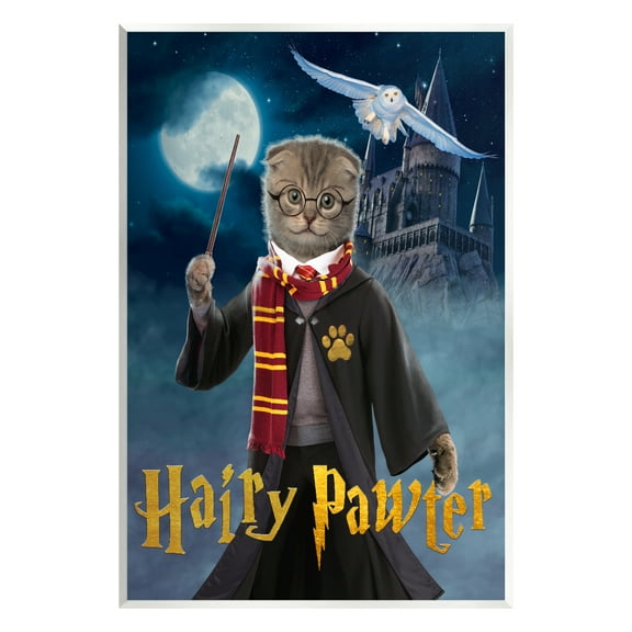 Stupell Industries Hairy Pawter Cat Wizard Animals & Insects Painting Unframed Art Print Wall Art, 10 x 15