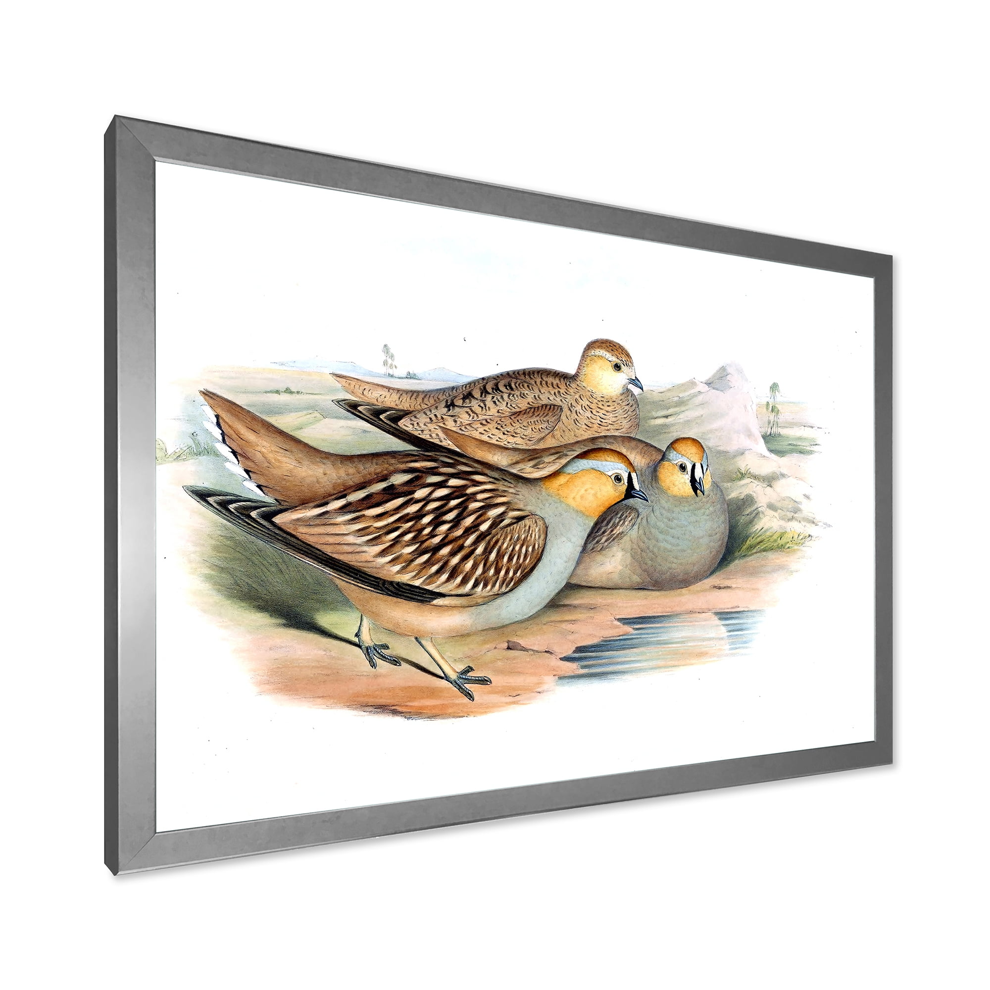 Designart 'Ancient Birds In The Wild III' Traditional Framed Art Print