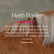 Hilton Herbs Herb Power Horse Supplement – 2.2 lb