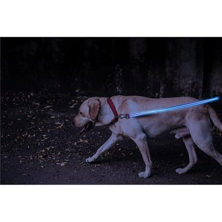 UPC: 0847645007038 | 4id 5100-B Lite-Up Dog Leash – Blue