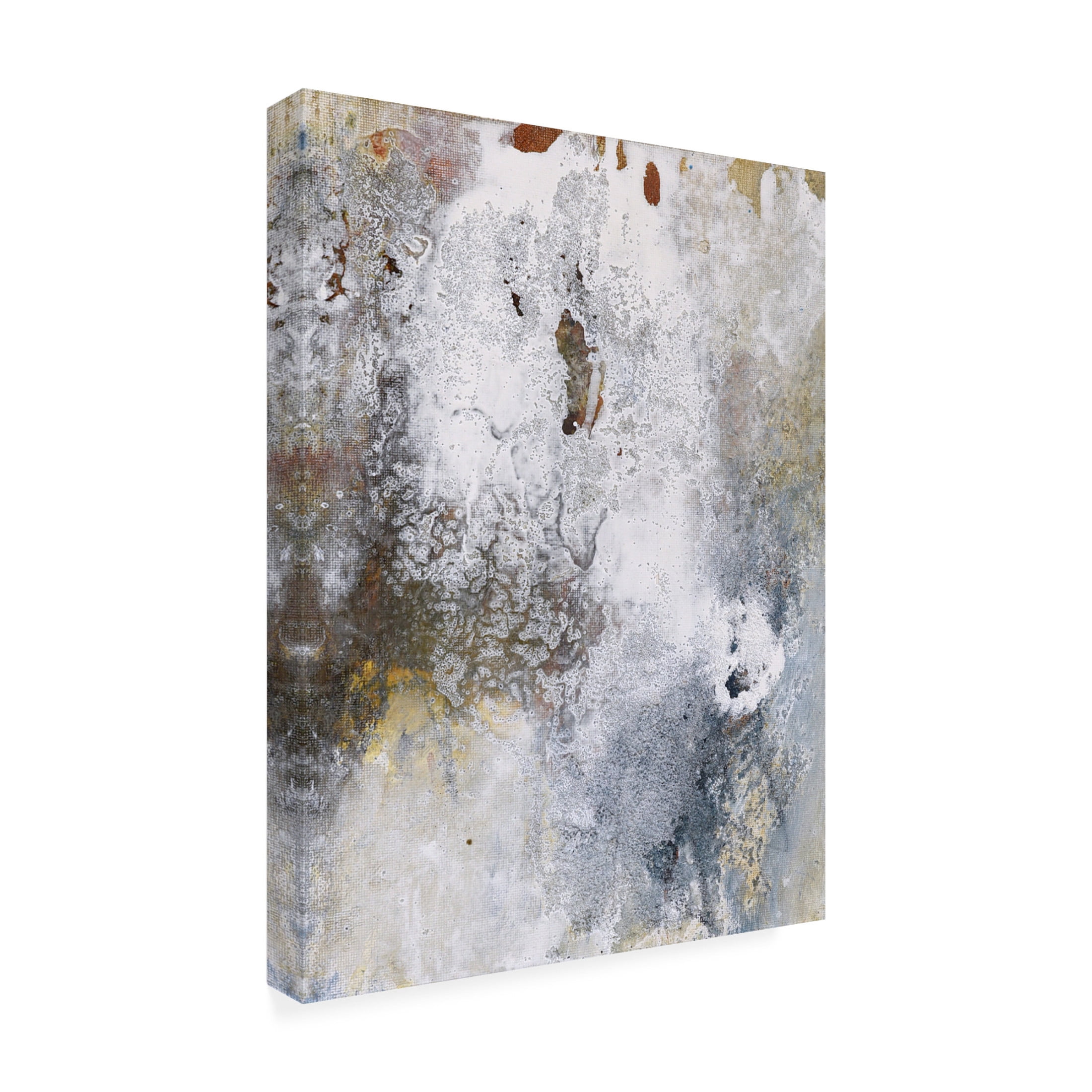 Canvas Wall Art - Deb Chaney 'Sandcut Beach' Wall Art for Living Room, Bedroom, or Office Décor by Trademark Fine Art - 24 x 32 Inches