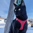 thumbnail image 3 of Voyager Step-in Air All Weather Mesh Harness and Reflective Dog 5 ft Leash Combo with Neoprene Handle, for Small, Medium and Large Breed Puppies - Red/Black Trim, XX-Small, 3 of 9