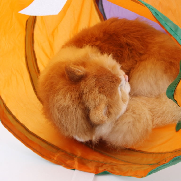 Tripumer 22-Piece Cat Toy Set with Tunnels and Interactive Toys photo 4