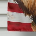 thumbnail image 4 of Griffon Fauve de Bretagne American Flag Flag Canvas House Size, 4 of 4